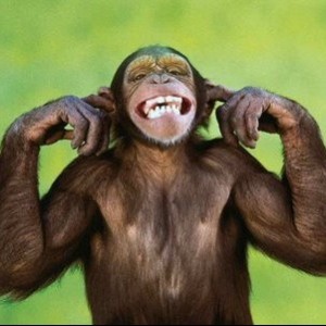 Durtymac - Ill play for a mOnkey