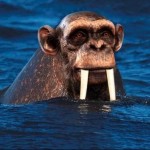 Bridge - Take It To The Bridge