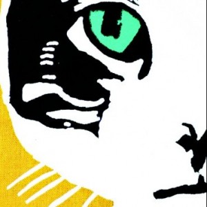 eavo - Fieber-Tanzparty 30.11.12