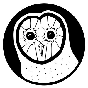 eavo - Tempocopter 16.06.12