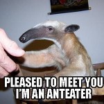 Bridge - Take It To The Bridge