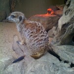 DJ TAi.CHi - WuTAL_UNi_23.10.10