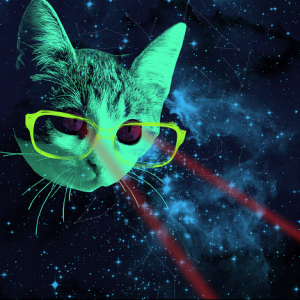 Txbck - TxBck x Geofden