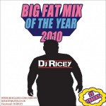DJ Ricey - Big Fat Mix of The Year 2010