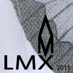 Amazing Maze - LMX 2011