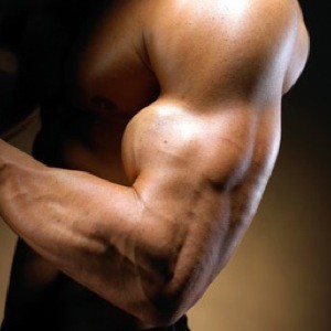 Alpha Bravo Charlie Dj - 11/11/12 - What You Need