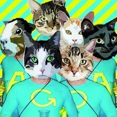 eavo - Silvestocopter 31.12.12