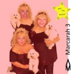 Amazing Maze - Marcarah 3