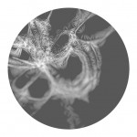 Suki Quasimodo - Suki, Suki, Dive ~ 16 Jun 2011