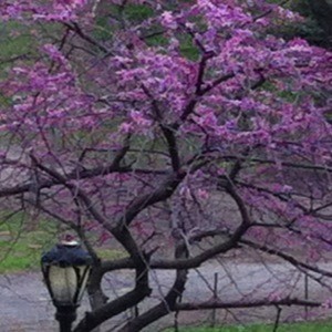 Alpha Bravo Charlie Dj - 6/13/12 - Tearin' Up the Town