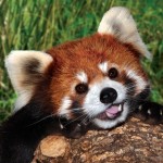 Bridge - Take It To The Bridge