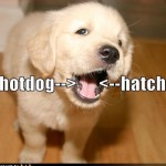 Bridge - Take It To The Bridge