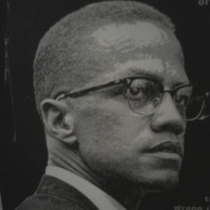 Senor 14 - Liquorice