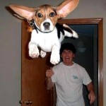 Bridge - Take It To The Bridge