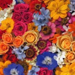 DJ TAi.CHi - GC_MANiA_22.10.09