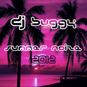 Dj Buggy - Summer Noize Mix 8/14/12