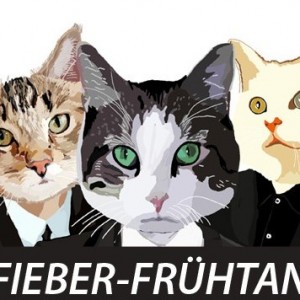 eavo - Fieber-Tanzparty 16.11.12