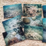 DJ TAi.CHi - NR_Sportler_BAY_WarmUp_02.12.10