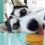 Bridge - Take It To The Bridge