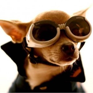 DDOG - DOGGY STYLE RADIO SHOW - DDOG - FAST RADIO 10/01/2013
