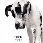 Rene Dumond - Teploss Live one Mix