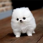 Bridge - Take It To The Bridge